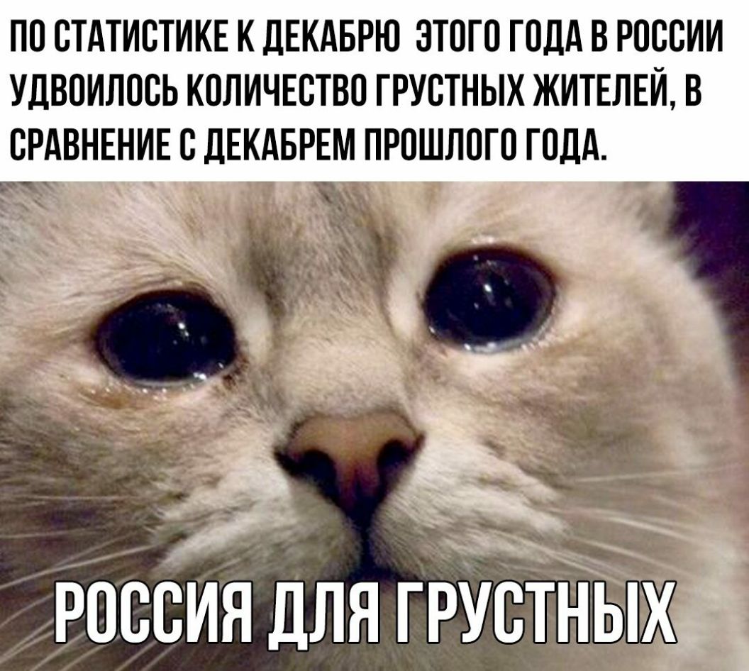 ПО ОТАТИОТИКЕ К ДЕКАБРЮ ЭТОГО ГОДА В РОССИИ УДВОИЛООЬ КОЛИЧЕОТВО ГРУОТНЫХ ЖИТЕЛЕЙ В СРАВНЕНИЕ О дЕКАБРЕМ ПРОШЛОГО ГОДА ісидля грыПЖ