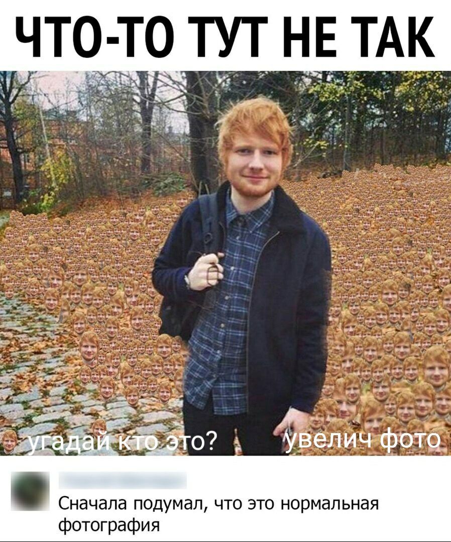 что _то НЕтАк Сначала подумал что это нормальная фотография