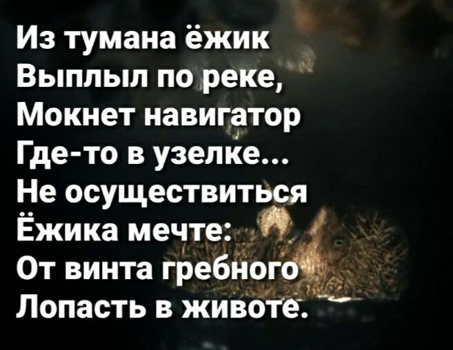 Из тумана ёжик Выплыл по реке Мокнет навигатор Где то в узелке Не осуществиться Ёжика мечте _ От винта гребногбъ Попасть в животе