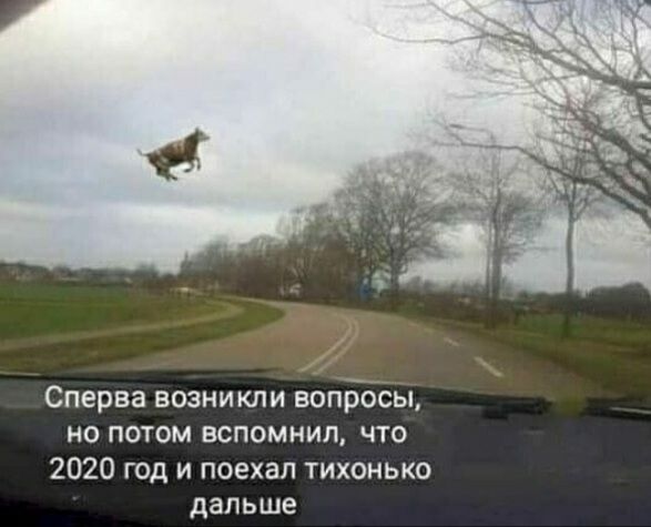 Сперва возникли вопросы но потом вспомнил что 2020 год и поехал тихонько дальше