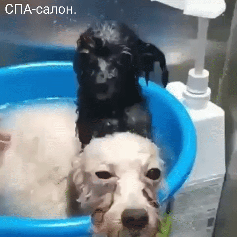 СПА салон й _