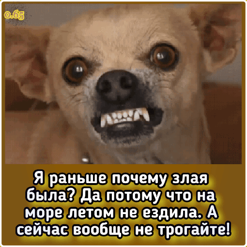 9раньшепочему3лая быладздпотомучшъэд ддлетомшьездила сеич асвообщен_етайте