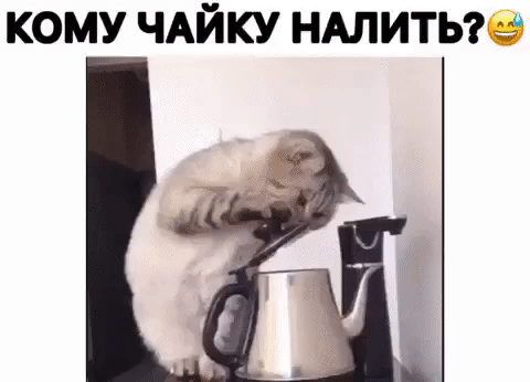кому ЧАЙКУ НАЛИТЬ