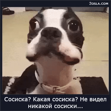 4 сосиска Какая сосиска Не видел никакой сосиски