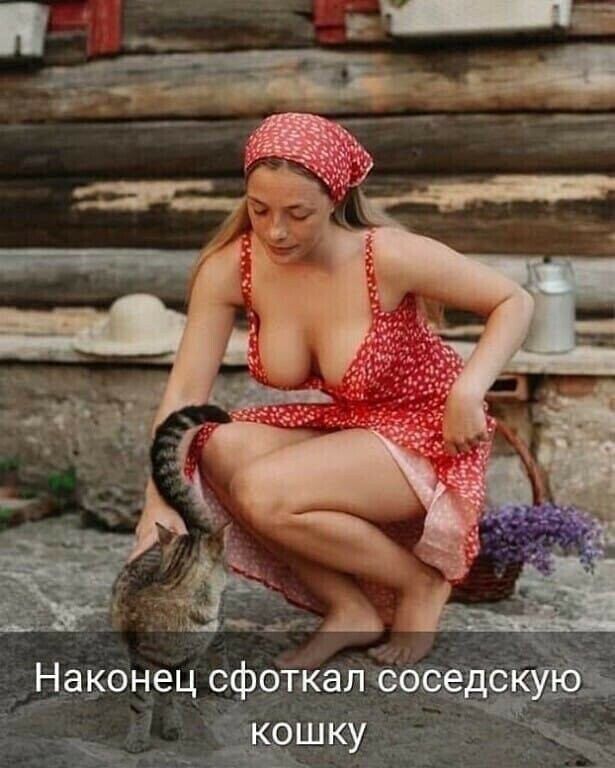 Наконец сфоткал боседскуюъ _ _кршку