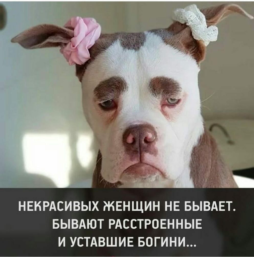НЕКРАСИВЫХ ЖЕНЩИН НЕ БЫВАЕТ БЫВАЮТ РАССТРОЕННЫЕ И УСТАВШИЕ БОГИНИ