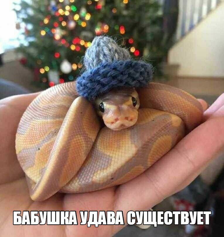 _ с _ _ ЕШЁУШРЁЁДЁВА щшютвуп