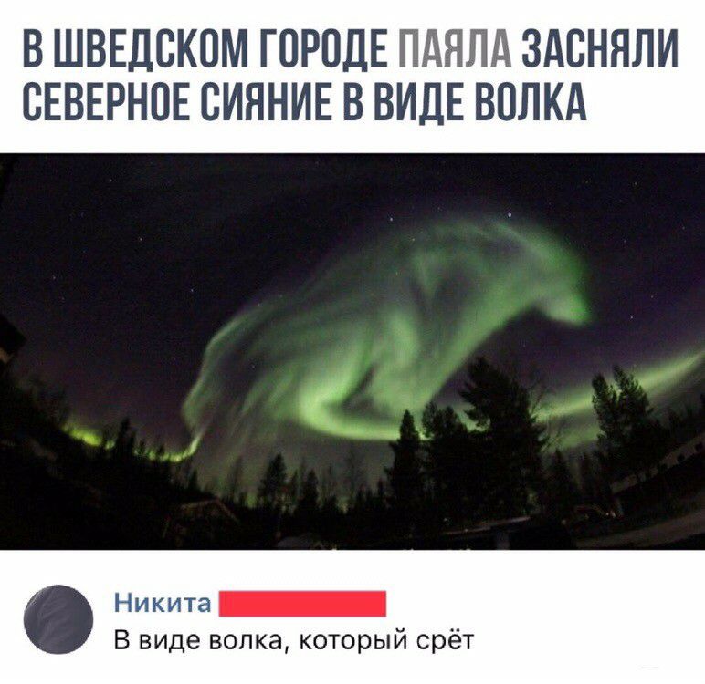 В ШВЕДСКОМ ГОРОДЕ ПАЯЛА ЗАОНЯЛИ СЕВЕРНОЕ ОИЯНИЕ В ВИДЕ ВОЛКА Н и К ита _ В виде волка который срёт