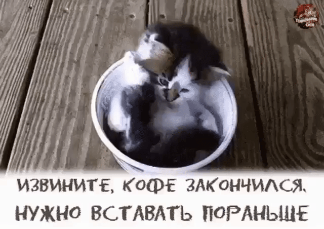ИЗВИНИТЕ КОФЕ ЗАКОНЧИАСЯ НУЖНО ВСТАВАТЬ ПОРАНЬШЕ