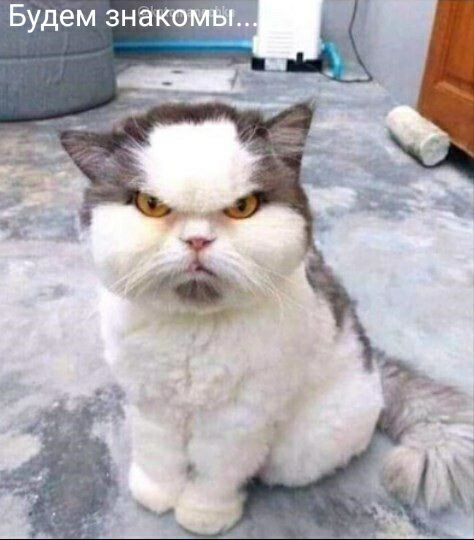 Будем зна в