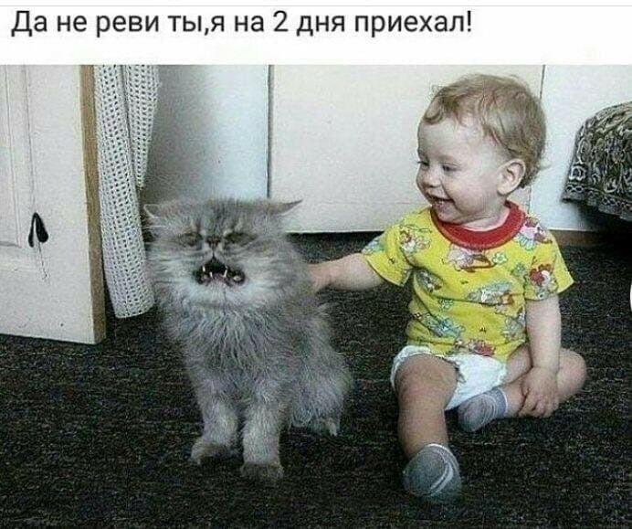 Да не реви тыя на 2 дня приехал