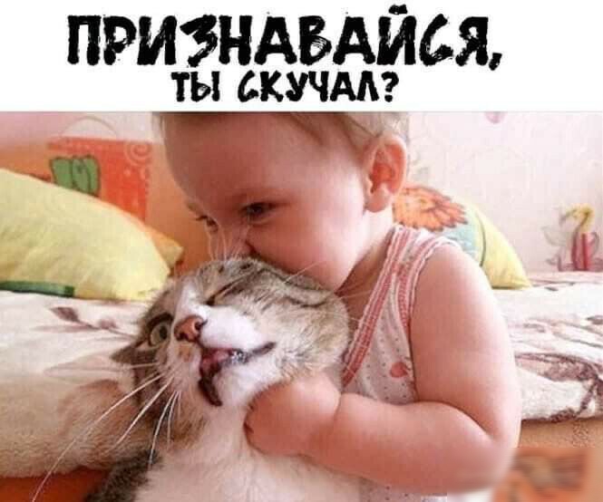 ПРИЭНАБАЙСЖ ты скшмг