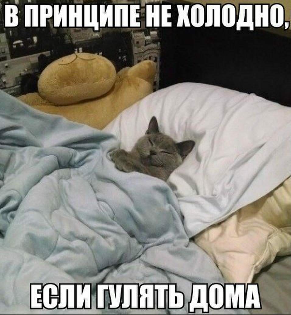 Ч _ _ пц 11