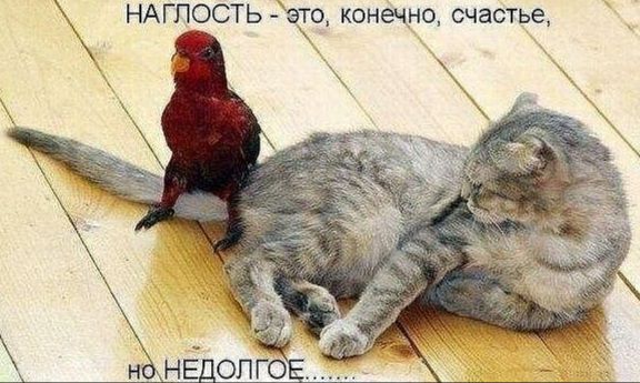 НАГПОСТЬ ео конечно счастье
