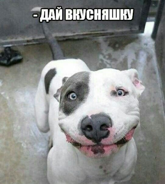 МЙ ВШЮНПШШ