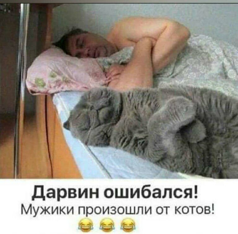 Дарвин ошибался Мужики произошли от котов