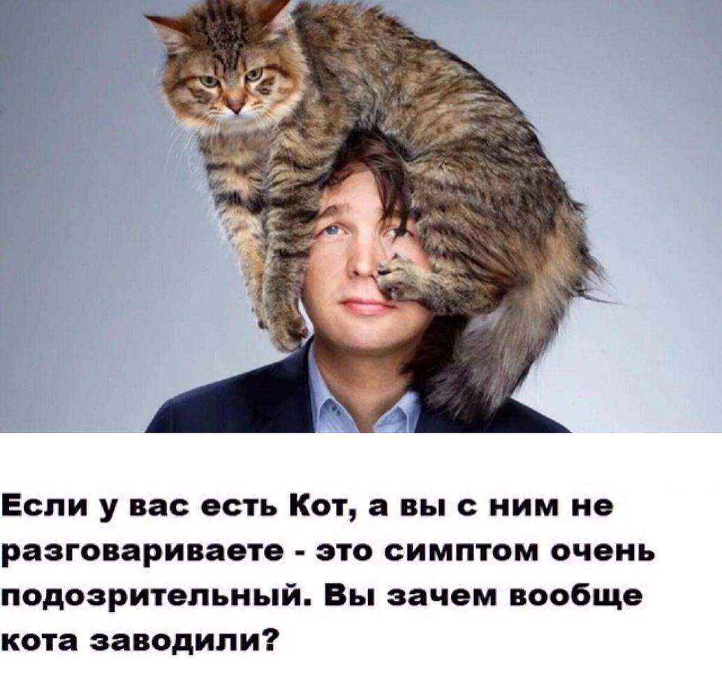 Если у вас есть Кот а вы с ним не разговариваете это симптом очень подозрительный Вы зачем вообще кота заводили