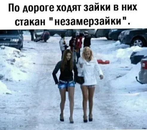 По дороге ходят зайки в них стакан незамерзайки Л