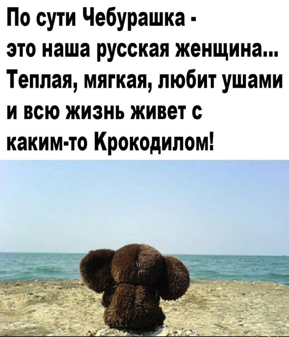 По сути Чебурашка это наша русская женщина Теплая мягкая любит ушами и всю жизнь живет с каким то Крокодилом