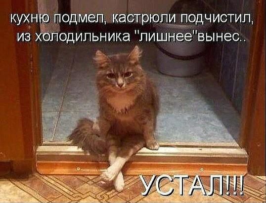 кухн из одгмепщ мастрюпи подч истип одипьникапиш вынес