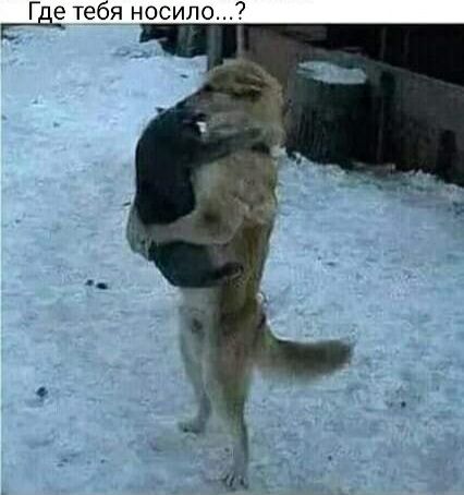 Где тебя носило7