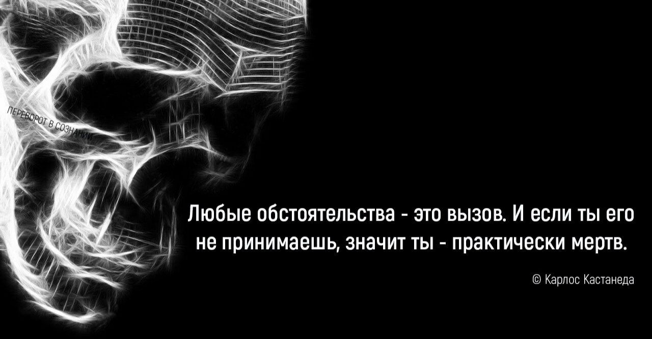 Любые обстоятельства это вызов И если ты его не принимаешь значит ты практически мертв Карлос Кастанеда