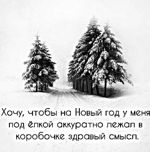 Хочу чтобы но Новый год у меня под ёпкой аккуратно пежоп в коробочке здравый смысл