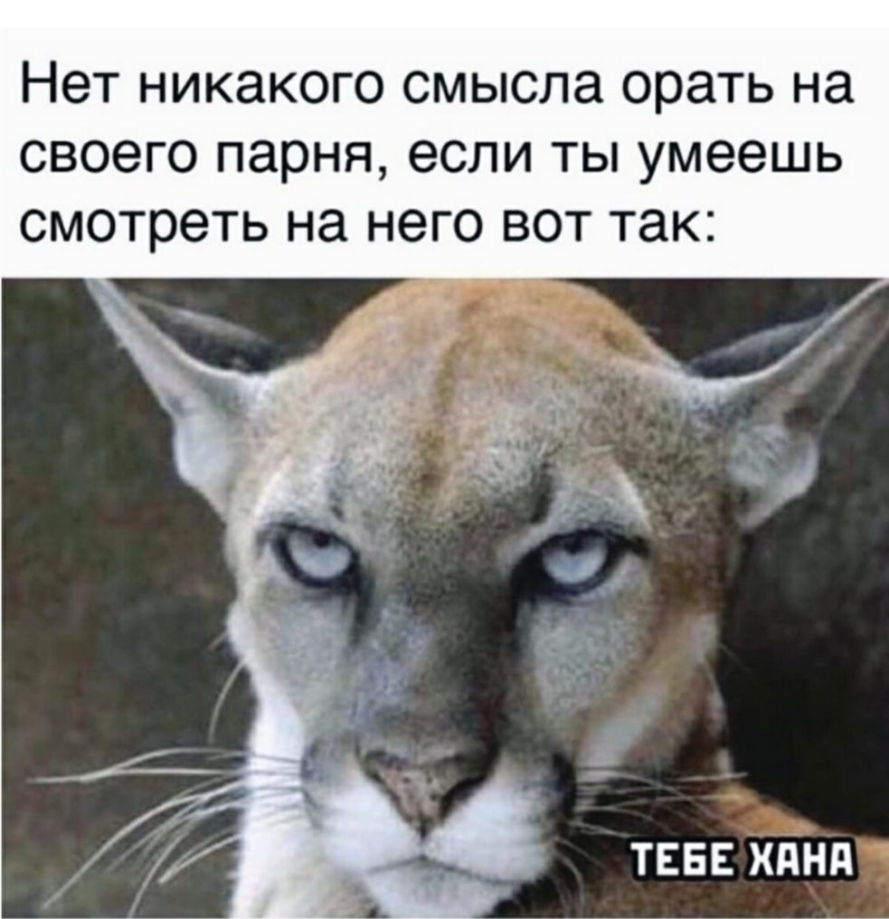Нет никакого смысла орать на СВОЭГО парня если ТЫ умеешь смотреть на него вот так ТЕБЕ ХдНд