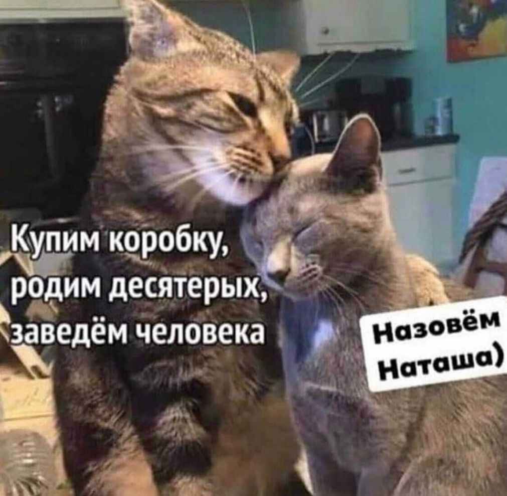 Купимдкёробку _ _ родим десятерых йде 38 ведём человека