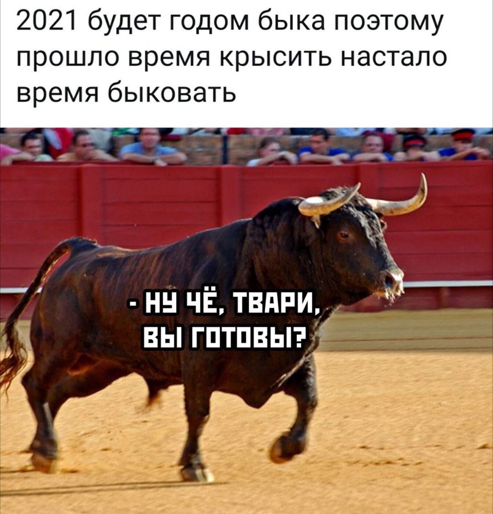 Бык за рулем