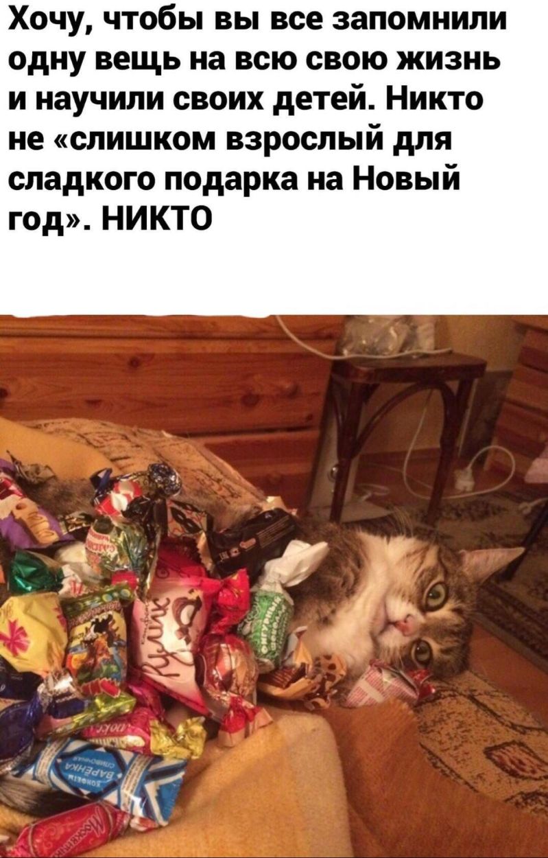 Хочу чтобы вы все запомнили одну вещь на всю свою жизнь и научили своих детей Никто не слишком взрослый для сладкого подарка на Новый год НИКТО