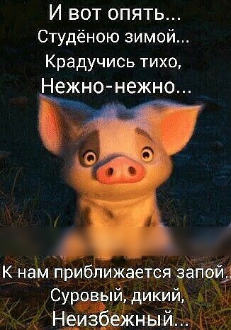 И вот опять Студёною зимой Крадучись тихо Нежно нежно
