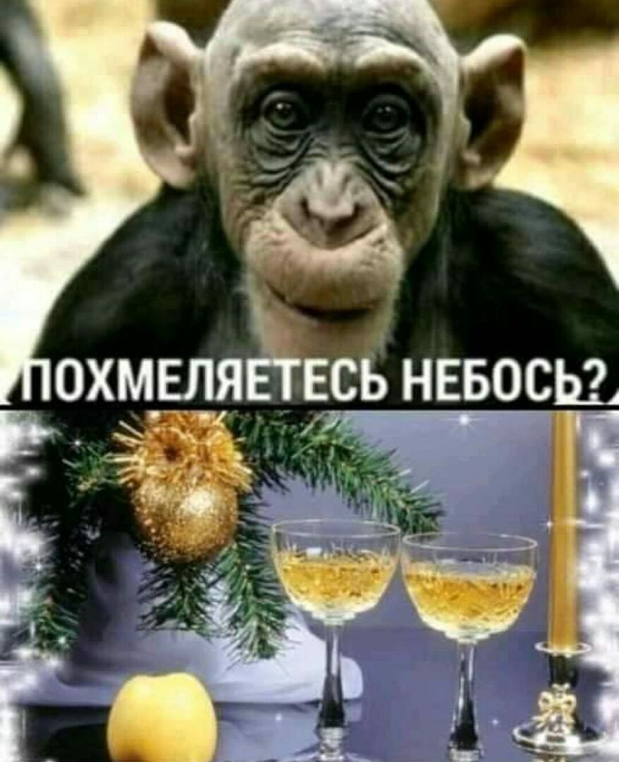 ___ _ охмвляёёсь НЕБОСЬЦ _ _