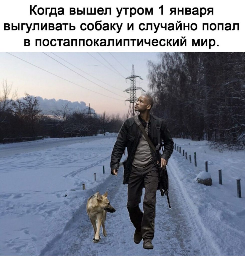 Когда вышел утром 1 января выгуливать собаку и случайно попал в постаппокапиптический мир