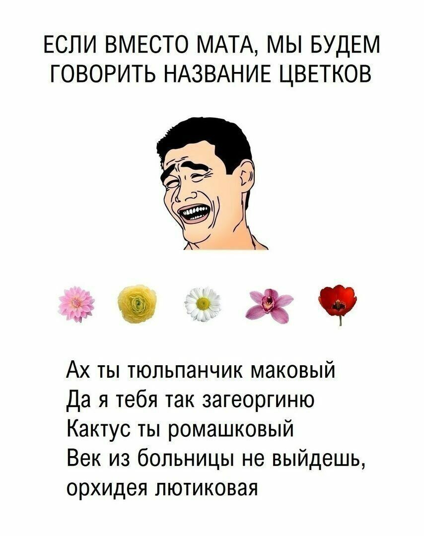 ЕСЛИ ВМЕСТО МАТА МЫ БУДЕМ ГОВОРИТЬ НАЗВАНИЕ ЦВЕТКОВ Ах ты тюльпанчик маковый Да я тебя так загеоргиню Кактус ты ромашковый Век из больницы не выйдешь орхидея лютиковая