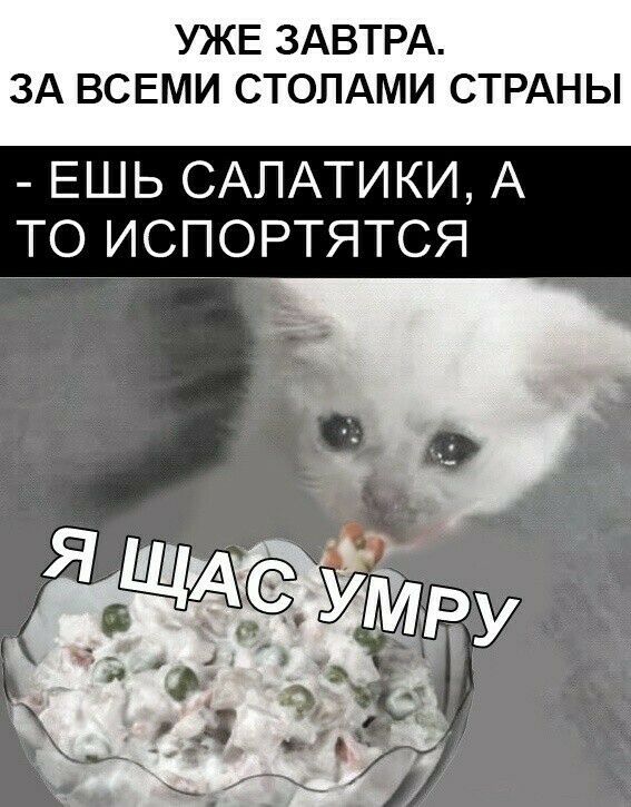 УЖЕ ЗАВТРА ЗА ВСЕМИ СТОЛАМИ СТРАНЫ ЕШЬ САЛАТИКИ А