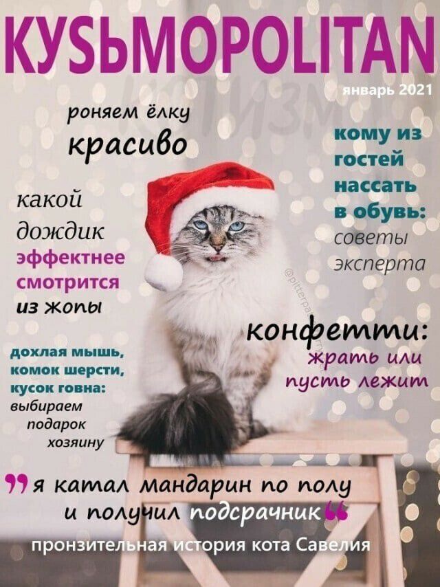 КУБЬМОРОЦТАМ роняем ёлку кому из красиво тий пасс ть какои бу дождик советы эффектнее эксперта смотрится из жопы конфетти дохлая мышь жрать цщ пусть Аежцм кусок гопи выбираем подарок хозяину _ г я ката Мандарин по моду и ищу дм иосрачник