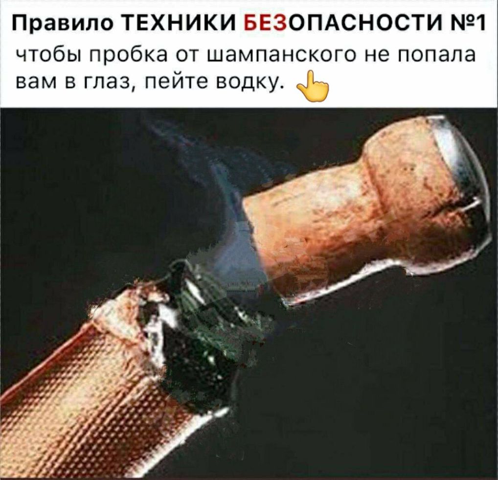Правило ТЕХНИКИ БЕЗОПАСНОСТИ 31 чтобы пробка от шампанского не попала вам в глаз пейте водку ь