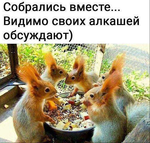 Собрались вместе Видимо своих алкашей обсуждают