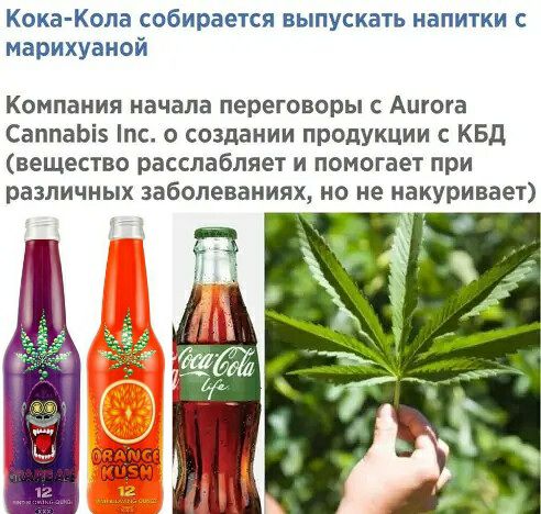 Кока Копа собирается выпускать напитки с марихуаной Компания начала переговоры С АЩОГВ СаппаЬі5 пс создании продукции с КБД вещество расслабляет и помогает при различных заболеваниях но не накуривает