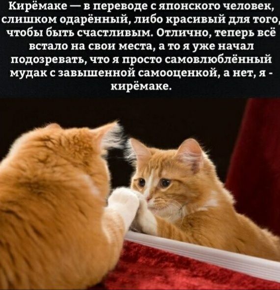 Кирёмаке в переводе с японского человек слишком одарённый либо красивый для того чтобы быть счастливым Отлично теперь всё встало на свои места а то я уже начал подозревать что я просто самовлюблёниый мудак с завышенной самооценкой а нет я кирёмаке
