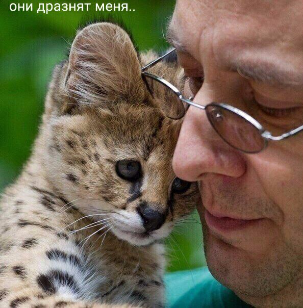 ОНИ да НЯТ меня