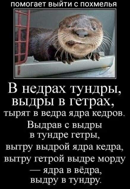 помогает ВЫЙТИ С похмелья В недрах тундры ВЫДрЫ В гетрах тырят в ведра ядра кедров Выдрав с выдры в тундре гетры вытру выдрой ядра кедра вытру гетрой выдре морду ядра в вёдра выдру в тундру
