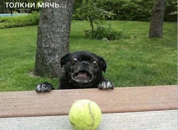 тол_кни мяяь