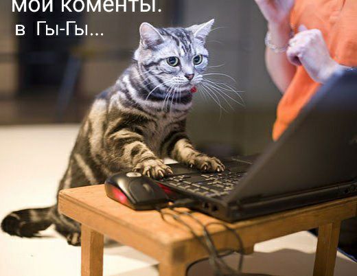 МОИ КОМЕНТЫ