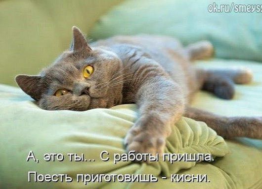 цлс ни