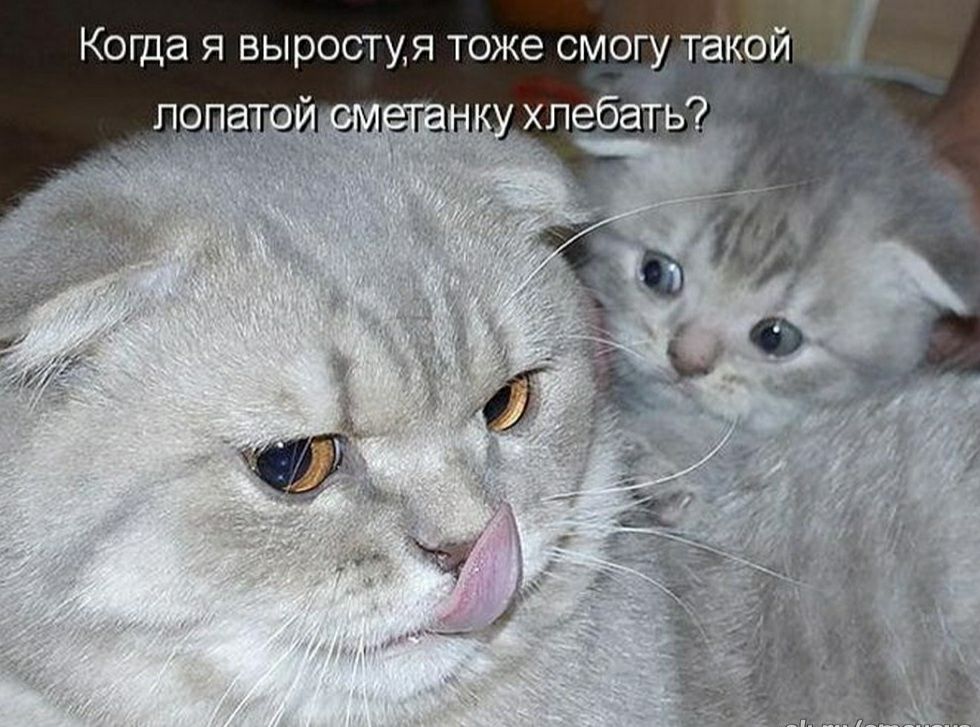 Когда Я ВЬРОСТУЯ ТОЖЭ СМОГУ такой
