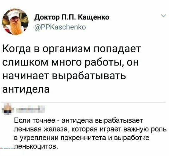 доктор ПП Кащенко РРКазспепі о Когда в организм попадает слишком много работы он начинает вырабатывать антидепа _ а ЕСЛИ точнее антидепа вырабатывает ленивая железа КОТОРЭЯ играет важную РОЛЬ в укреплении похреннитета и выработке ПеНЬКОЦИТОБ