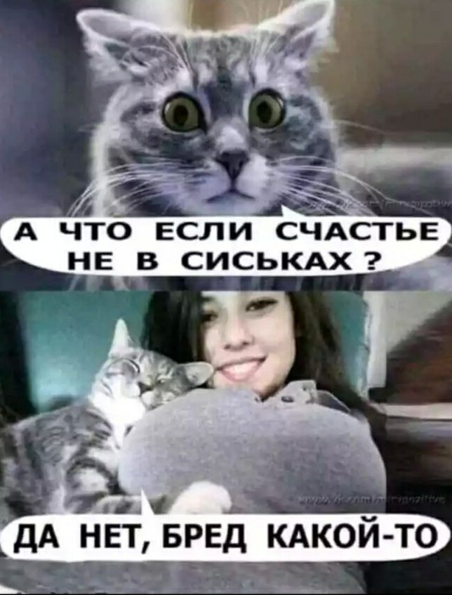 А ЧТО ЕСЛИ СЧАСТЬЕ НЕ В СИСЬКАХ