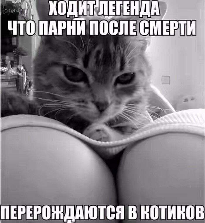 а _ ПЕЕЕВШШЮТВЯ 3 типов